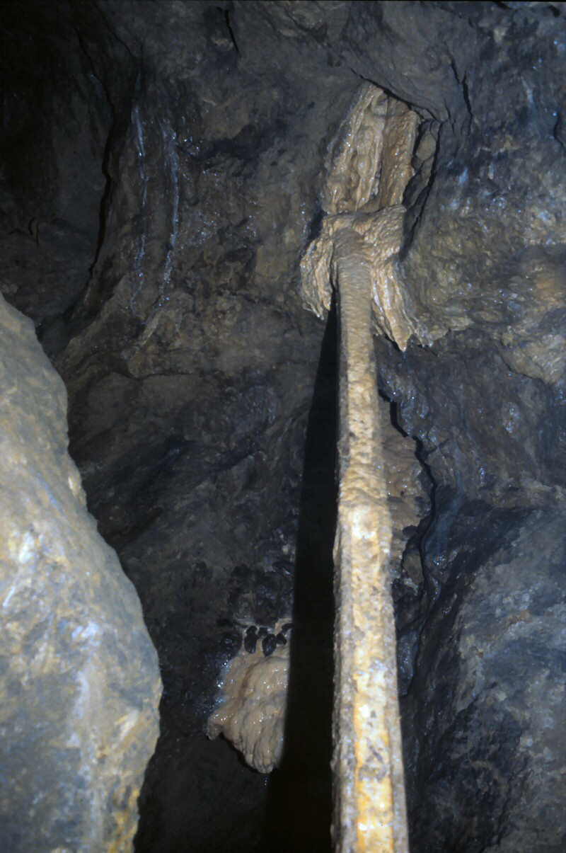 c a l c i f i e d   l a u n d e r   a b o v e   i c e b r i d g e   