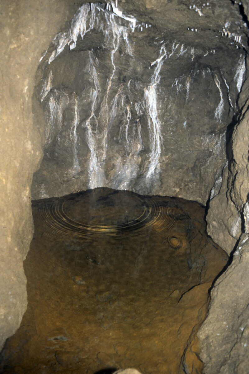 d r o p l e t   i n   p o o l   