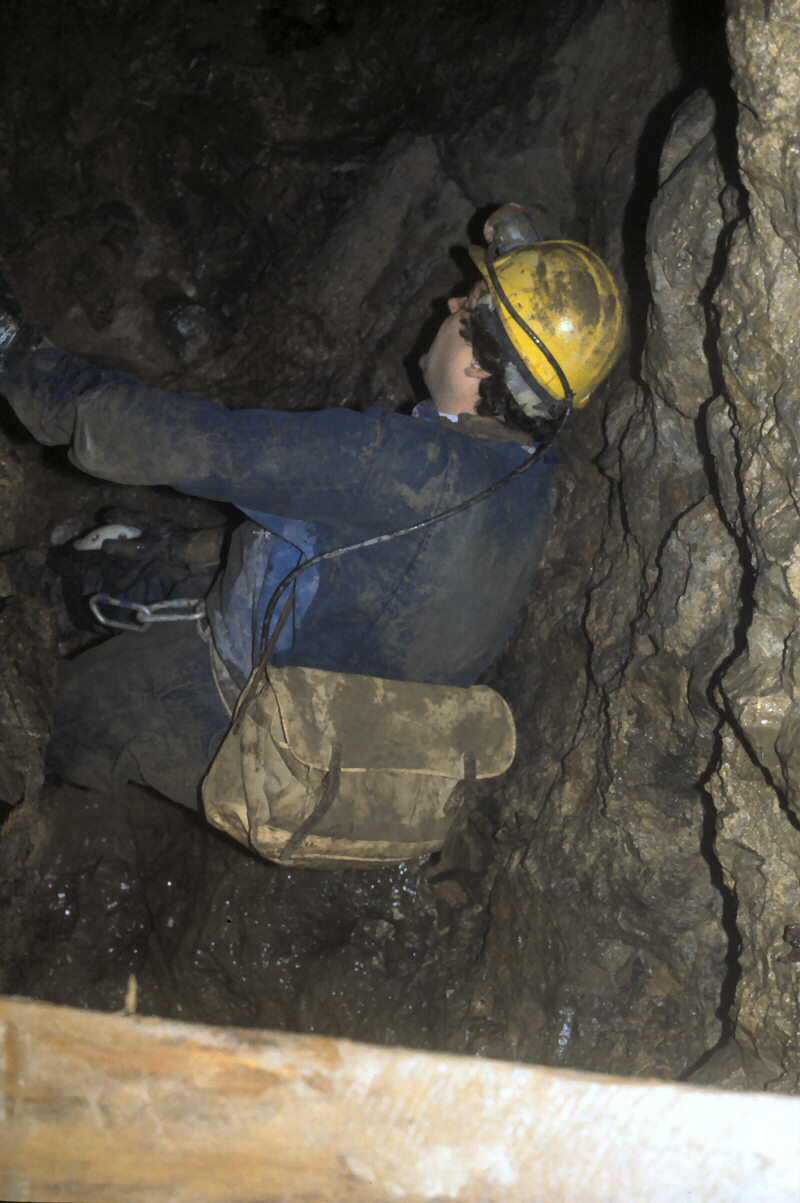 l o o k i n g   d o w n   o n   s t e v e   