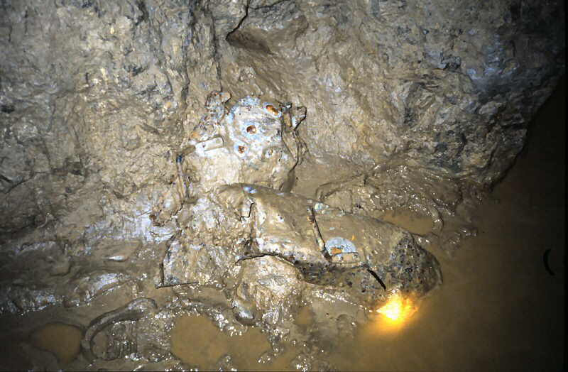 m u d   a n d   w a t e r   