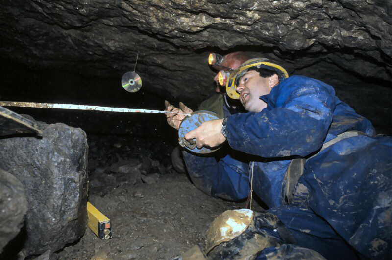 s t e v e   b e l o w   v i v i a n s   s u r v e y i n g   