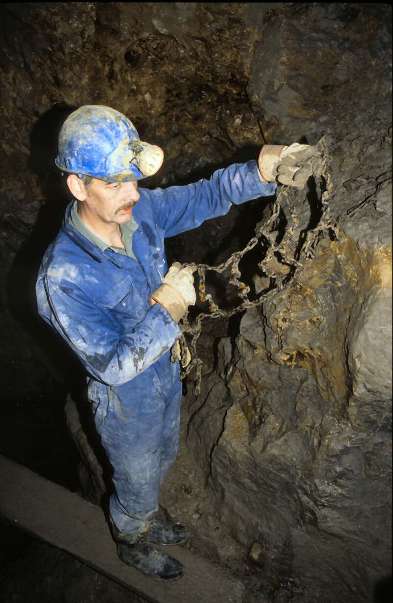 chain ladder