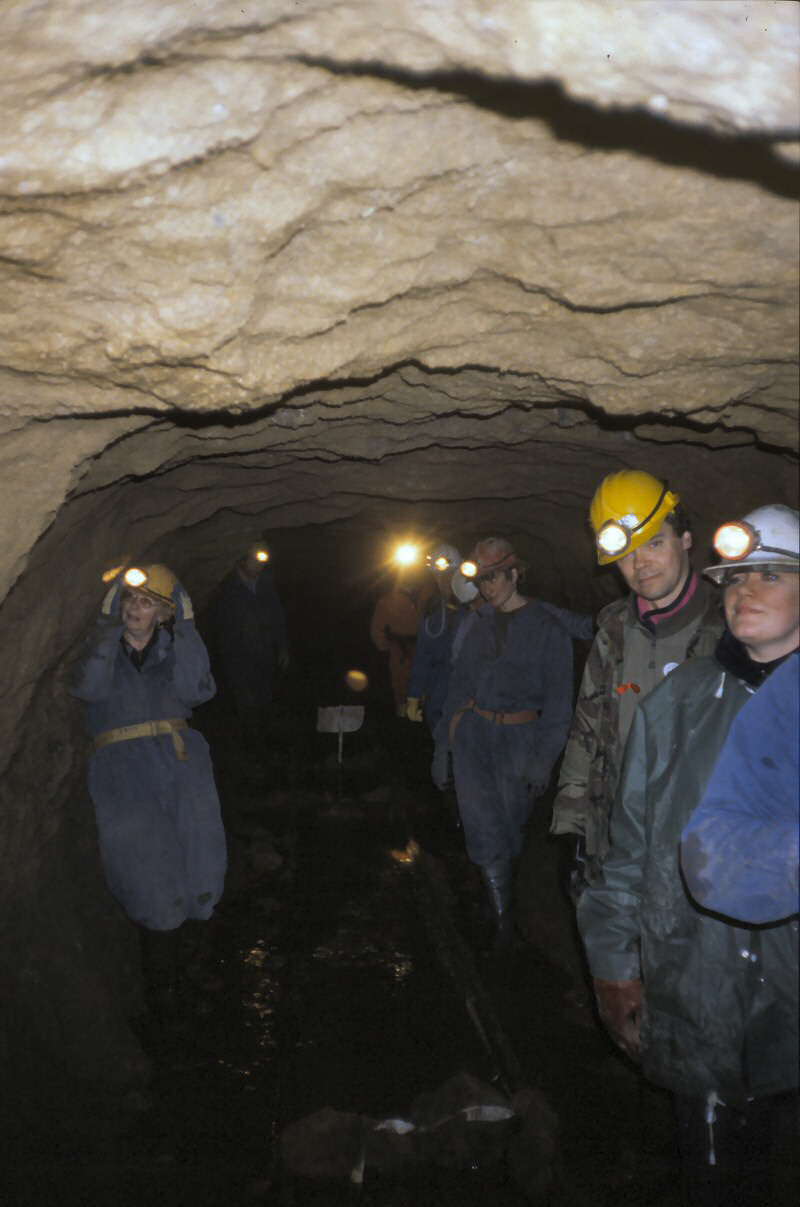 a   g r o u p   i n   t h e   m a i n   a d i t   