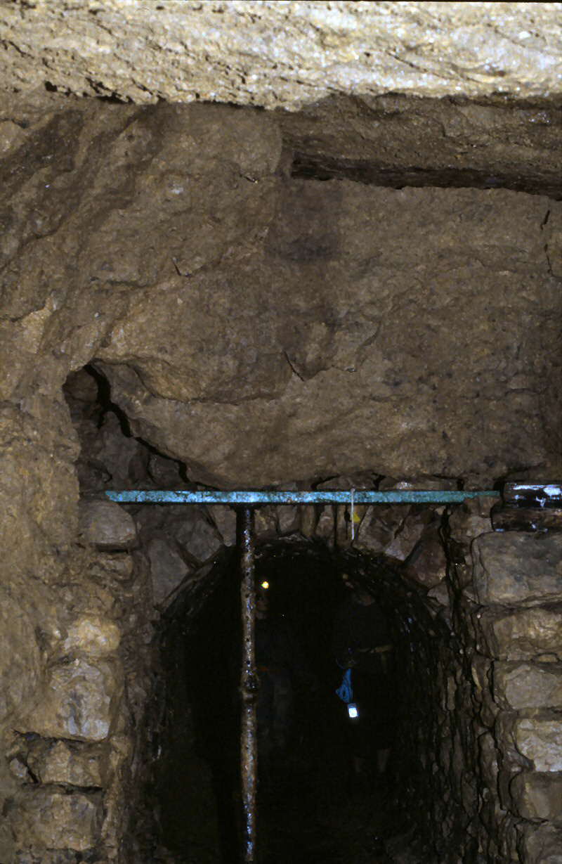 a c r o w   s u p p o r t i n g   a   l o o s e   r o c k   