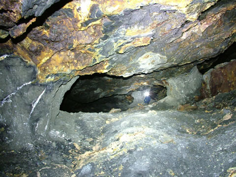 c a e   c o c h   