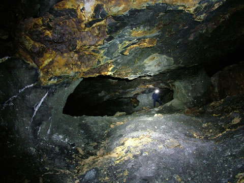 c a e   c o c h   