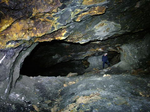 c a e   c o c h   