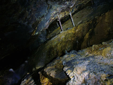 c a e   c o c h   