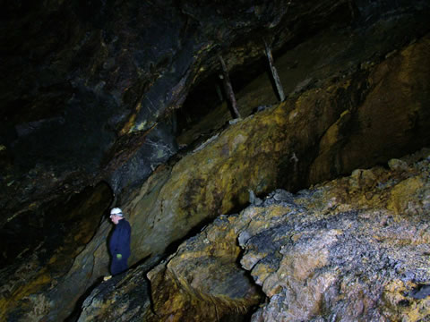 c a e   c o c h   