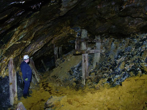 c a e   c o c h   